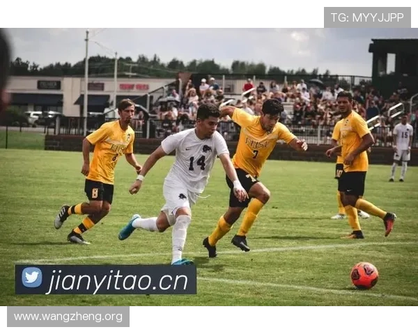 尊龙凯时真人品牌实力展示，赢得众多玩家信赖的线上娱乐平台推荐